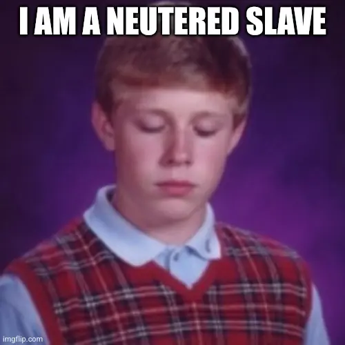 calm looking bad luck brian: i am a neutered slave