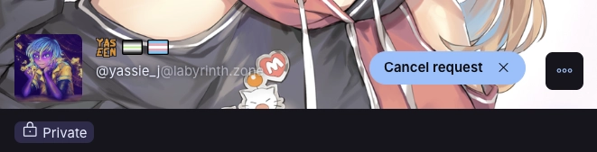 Yaseen's profile with a pending Follow Request