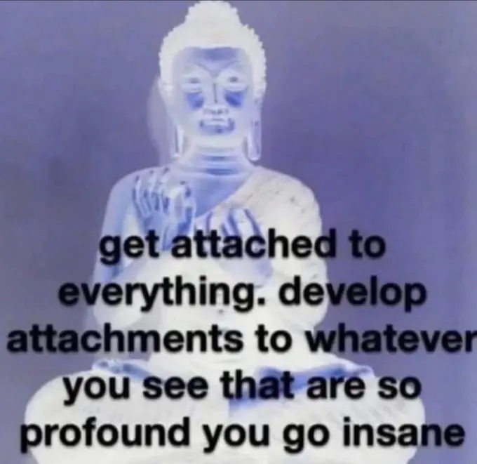 get attached to everything. develop attachments to whatever you see that are so
profound you go insane