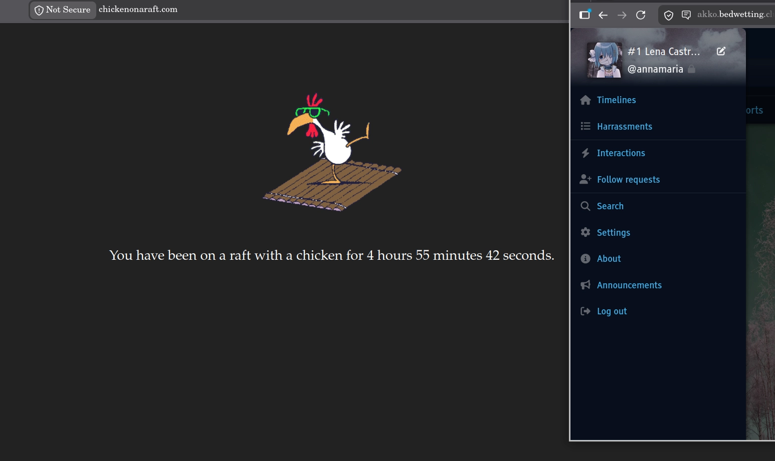 4 hours on chicken on a raft